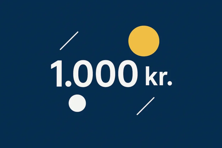 Lån 1000 kr.